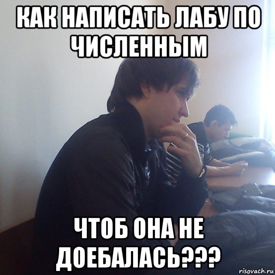 как написать лабу по численным чтоб она не доебалась???