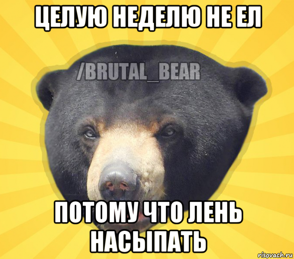 целую неделю не ел потому что лень насыпать