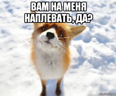 вам на меня наплевать, да? 