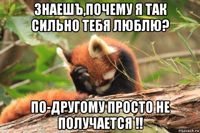 http://risovach.ru/upload/2015/02/mem/lisa_73850329_orig_.jpg