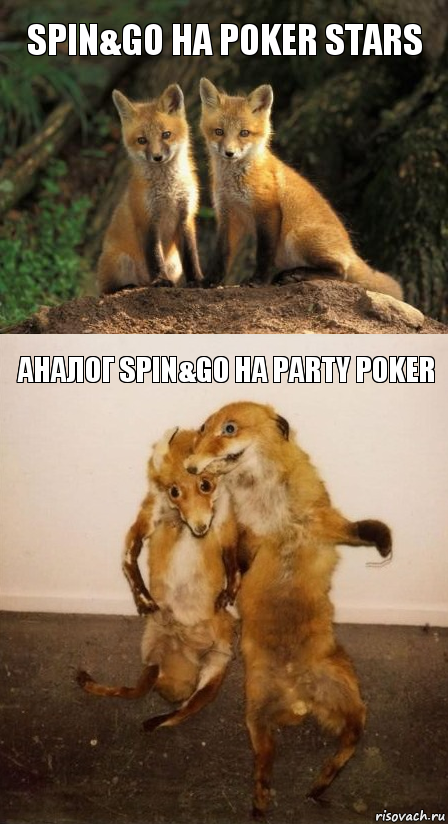 Spin&Go на Poker Stars аналог spin&go на party poker, Комикс Лисицы