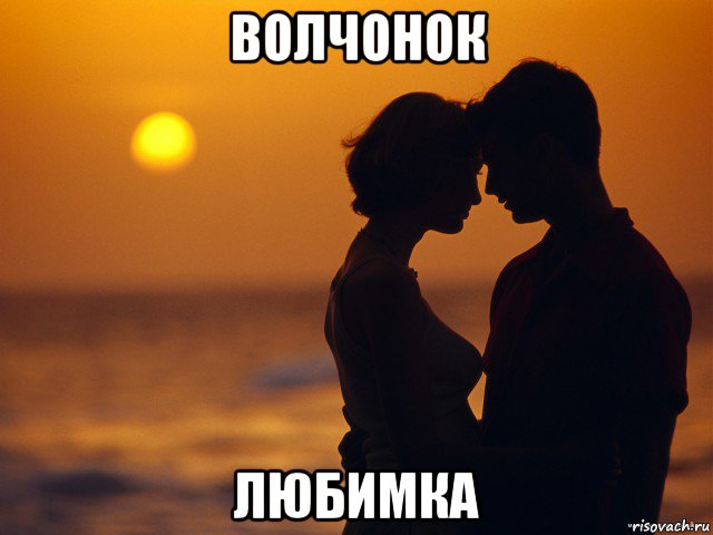 волчонок любимка