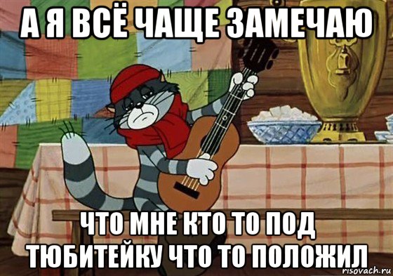 а я всё чаще замечаю что мне кто то под тюбитейку что то положил, Мем Грустный Матроскин с гитарой