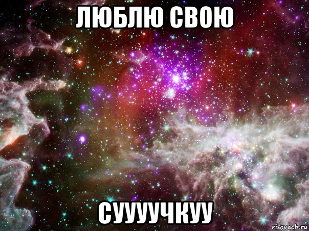 люблю свою суууучкуу