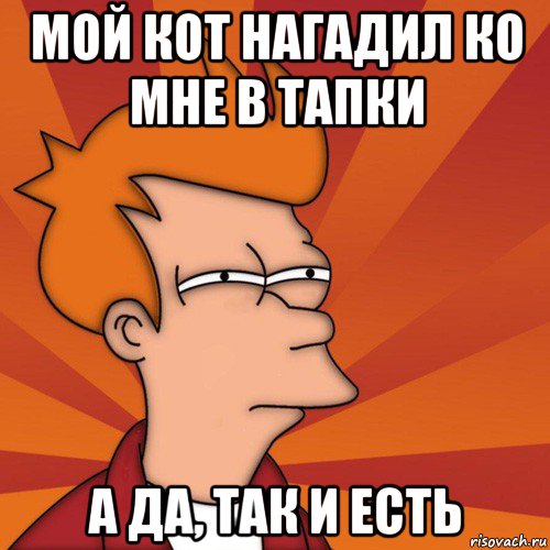 мой кот нагадил ко мне в тапки а да, так и есть, Мем Мне кажется или (Фрай Футурама)