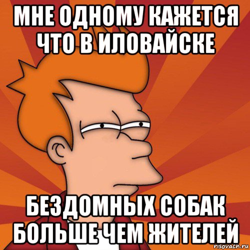 мне одному кажется что в иловайске бездомных собак больше чем жителей, Мем Мне кажется или (Фрай Футурама)