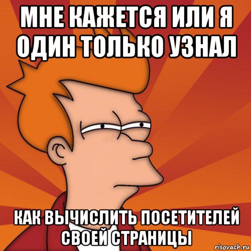 мне кажется или я один только узнал как вычислить посетителей своей страницы, Мем Мне кажется или (Фрай Футурама)