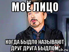 моё лицо когда быдло называют друг друга быдлом, Мем мое лицо когда