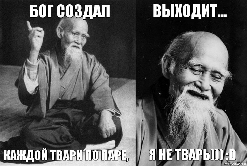 Бог создал каждой твари по паре, Выходит... Я НЕ ТВАРЬ))) :D, Комикс Мудрец-монах (4 зоны)