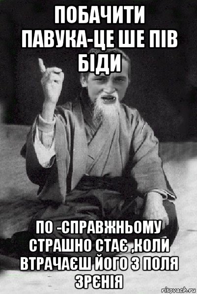 побачити павука-це ше пів біди по -справжньому страшно стає ,коли втрачаєш його з поля зрєнія, Мем Мудрий паца