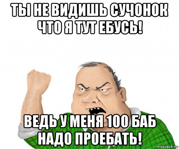 ты не видишь сучонок что я тут ебусь! ведь у меня 100 баб надо проебать!, Мем мужик