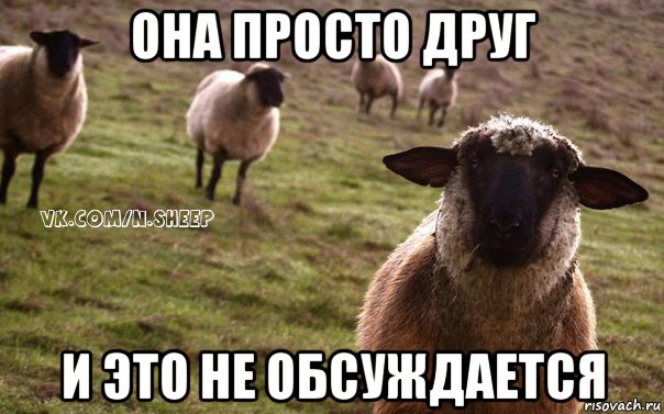 она просто друг и это не обсуждается, Мем  Наивная Овца