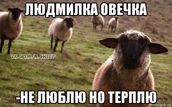 людмилка овечка -не люблю но терплю, Мем  Наивная Овца