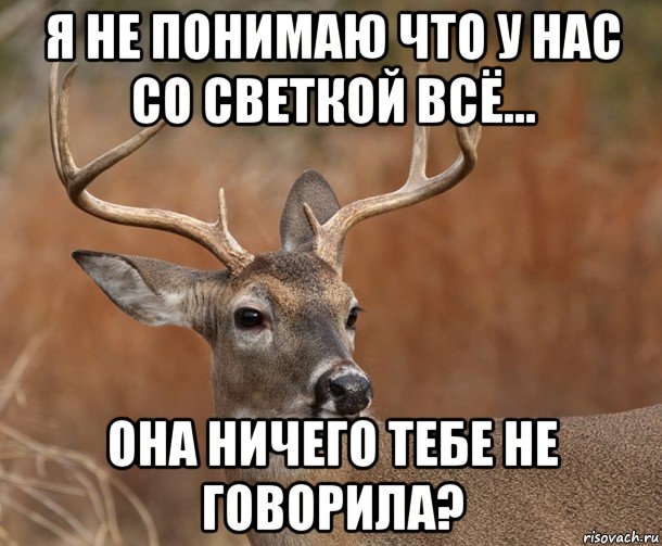 я не понимаю что у нас со светкой всё... она ничего тебе не говорила?, Мем  Наивный Олень v2