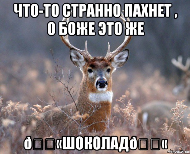 Мем   Наивный олень