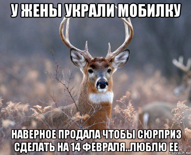 у жены украли мобилку наверное продала чтобы сюрприз сделать на 14 февраля..люблю ее, Мем   Наивный олень