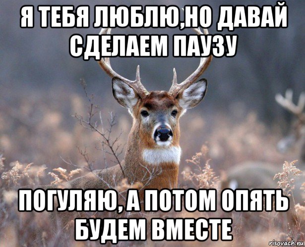 я тебя люблю,но давай сделаем паузу погуляю, а потом опять будем вместе, Мем   Наивный олень