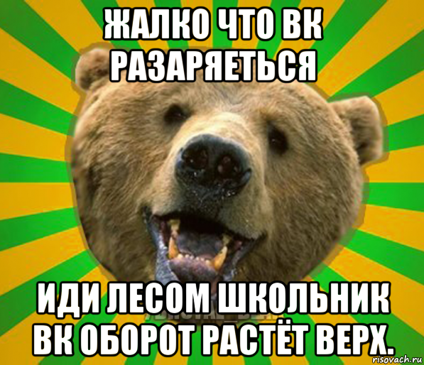 жалко что вк разаряеться иди лесом школьник вк оборот растёт верх., Мем Нелепый медведь