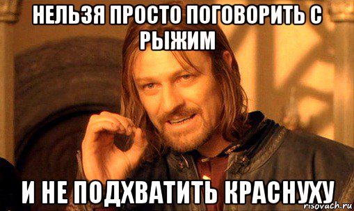 нельзя просто поговорить с рыжим и не подхватить краснуху, Мем Нельзя просто так взять и (Боромир мем)