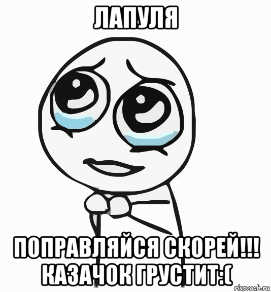 лапуля поправляйся скорей!!! казачок грустит:(, Мем  ну пожалуйста (please)