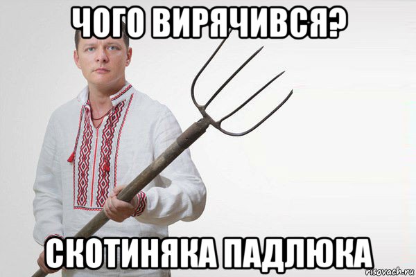 чого вирячився? скотиняка падлюка, Мем Олег Ляшко  вила