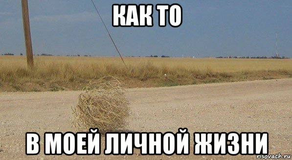 как то в моей личной жизни, Мем перекати-поле одиночество