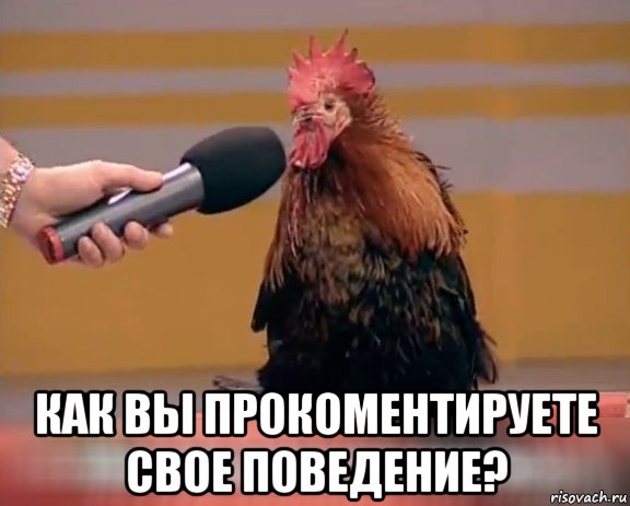  как вы прокоментируете свое поведение?