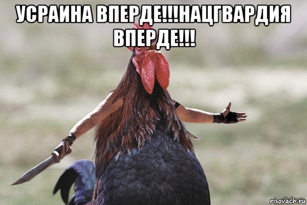 усраина вперде!!!нацгвардия вперде!!! , Мем Петух