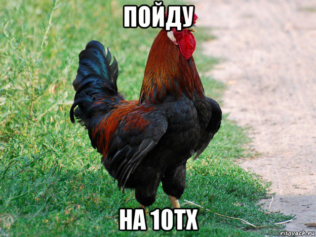 пойду на 10тх, Мем петух