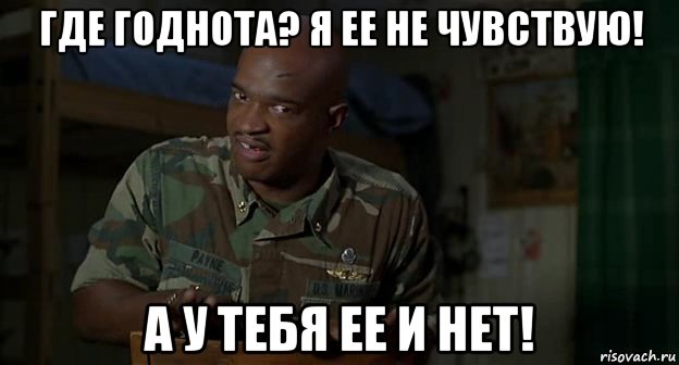где годнота? я ее не чувствую! а у тебя ее и нет!, Мем Пейн