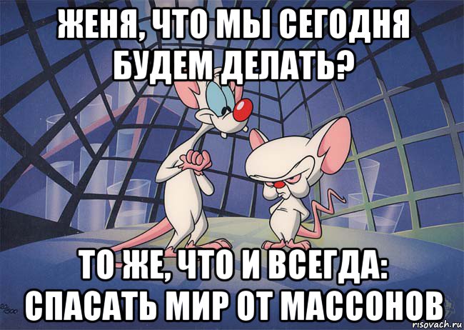 женя, что мы сегодня будем делать? то же, что и всегда: спасать мир от массонов, Мем ПИНКИ И БРЕЙН