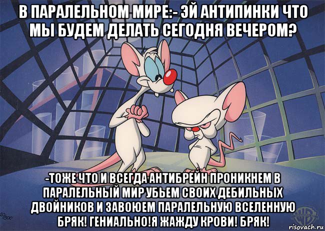 в паралельном мире:- эй антипинки что мы будем делать сегодня вечером? -тоже что и всегда антибрейн проникнем в паралельный мир убьем своих дебильных двойников и завоюем паралельную вселенную бряк! гениально!я жажду крови! бряк!, Мем ПИНКИ И БРЕЙН