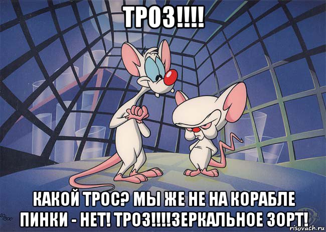 троз!!!! какой трос? мы же не на корабле пинки - нет! троз!!!!зеркальное зорт!, Мем ПИНКИ И БРЕЙН