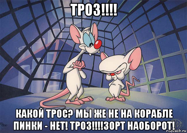 троз!!!! какой трос? мы же не на корабле пинки - нет! троз!!!!зорт наоборот!, Мем ПИНКИ И БРЕЙН