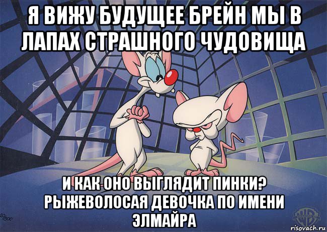 я вижу будущее брейн мы в лапах страшного чудовища и как оно выглядит пинки? рыжеволосая девочка по имени элмайра, Мем ПИНКИ И БРЕЙН