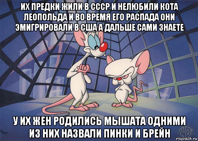 их предки жили в ссср и нелюбили кота леопольда и во время его распада они эмигрировали в сша а дальше сами знаете у их жен родились мышата одними из них назвали пинки и брейн, Мем ПИНКИ И БРЕЙН