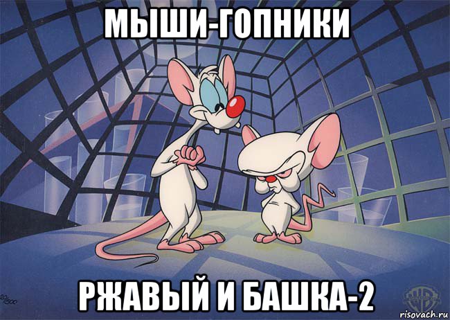 мыши-гопники ржавый и башка-2, Мем ПИНКИ И БРЕЙН