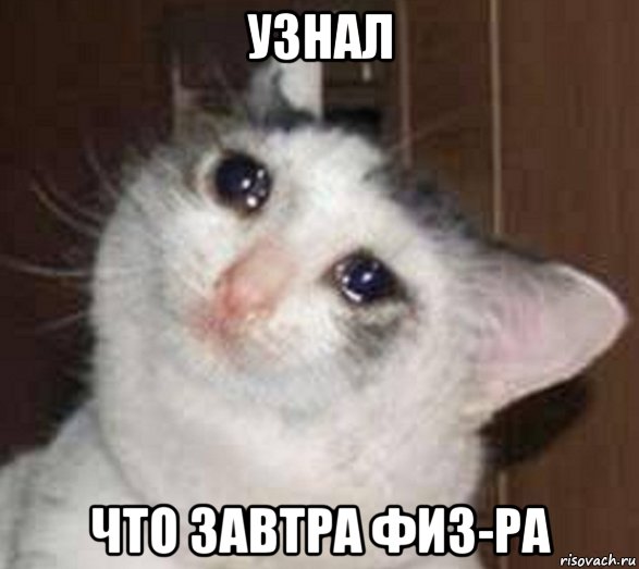 узнал что завтра физ-ра