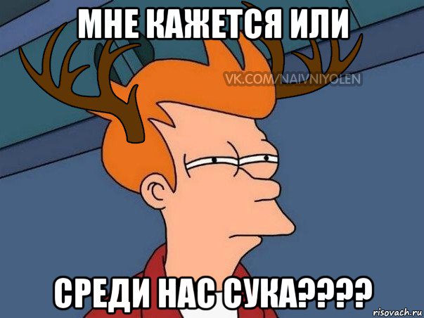 мне кажется или среди нас сука????, Мем  Подозрительный олень