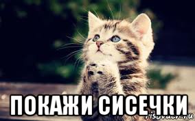  покажи сисечки, Мем Покажи Сисечки