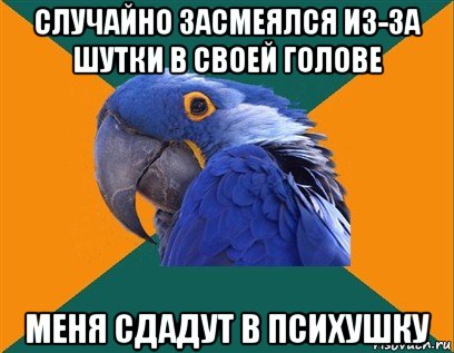 случайно засмеялся из-за шутки в своей голове меня сдадут в психушку, Мем Попугай параноик