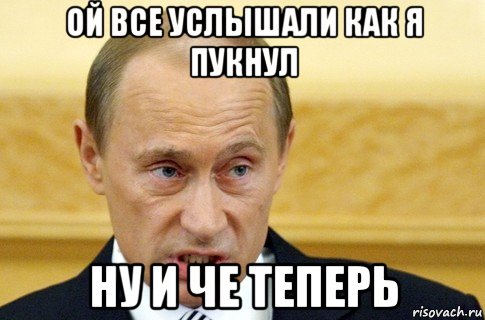 ой все услышали как я пукнул ну и че теперь, Мем путин