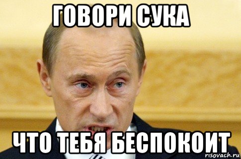 говори сука что тебя беспокоит, Мем путин