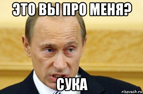 это вы про меня? сука, Мем путин