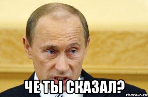  че ты сказал?, Мем путин