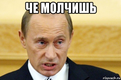 че молчишь , Мем путин