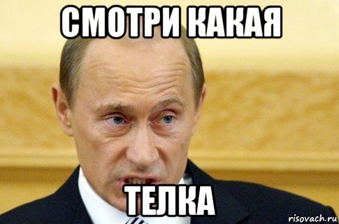 смотри какая телка, Мем путин