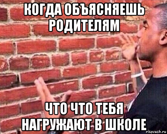 когда объясняешь родителям что что тебя нагружают в школе, Мем разговор со стеной