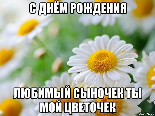 Любимый наш сынок с днем рождения тебя Любимый наш сынок с днем рождения тебя