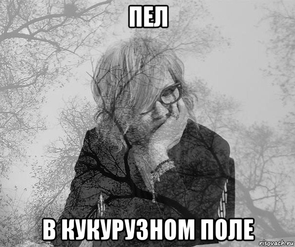 пел в кукурузном поле